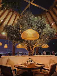 Modern Volcano Rattan Pendant Light